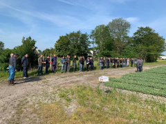 Highlighted image: Terugblik groene veilingseizoen